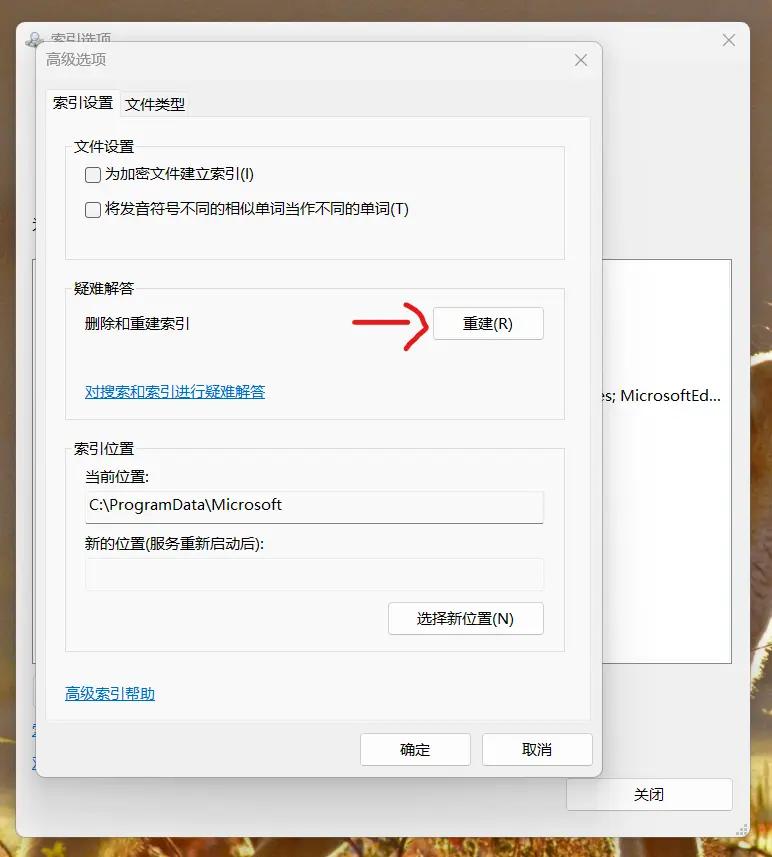 Delete and Rebuild Index